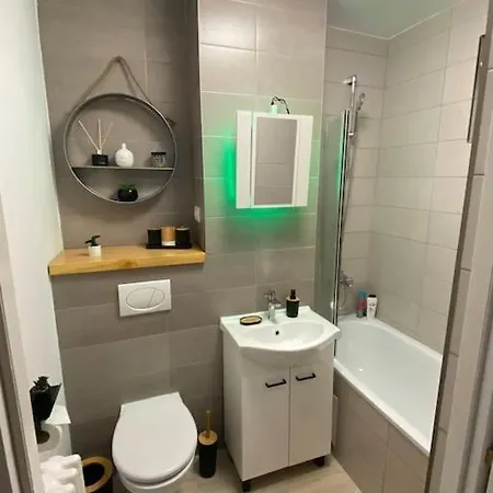 Friends & Family City-residence Apartment Timisoara